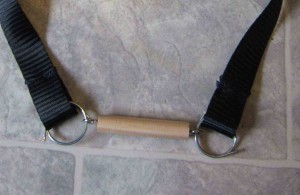 Horse Bit and Rein 1