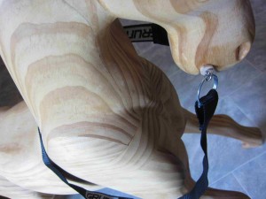 Horse Bit and Rein 2